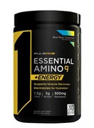 RULE 1 R1 Essential Amino 9 + Energy,  345 гр.